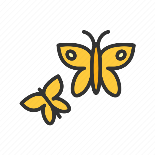 Butterflies, nature, insect, animal, colorful, collection, pretty icon - Download on Iconfinder
