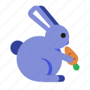 animal, bunny, carrot, easter, pet, spring