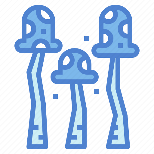 Amanita, fungi, mushroom, nature icon - Download on Iconfinder