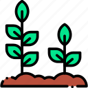 sprout, plant, trees, green, leaves, ecology, and, environment