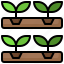 hydroponic, gardening, agriculture, plant, garden, farming 