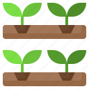 hydroponic, gardening, agriculture, plant, garden, farming