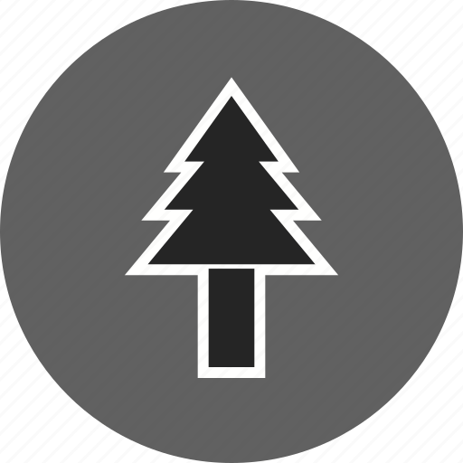 Plant, tree, pine icon - Download on Iconfinder