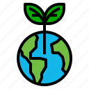 globe, growth, plant