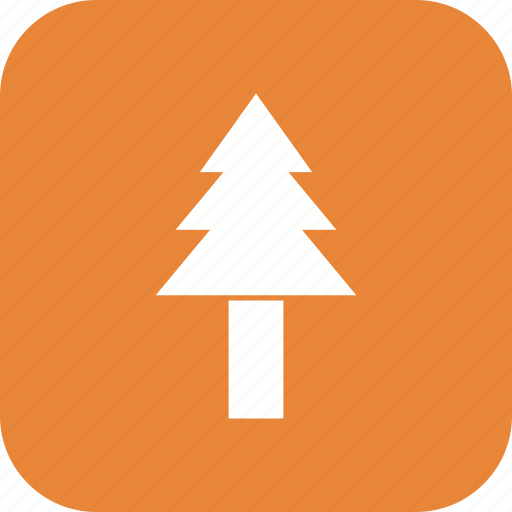 Tree, pine, plant icon - Download on Iconfinder