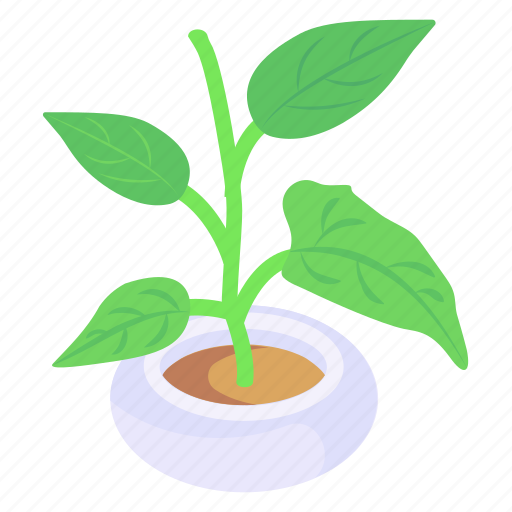 Leaves, greenery, nature, plant, sprout icon - Download on Iconfinder