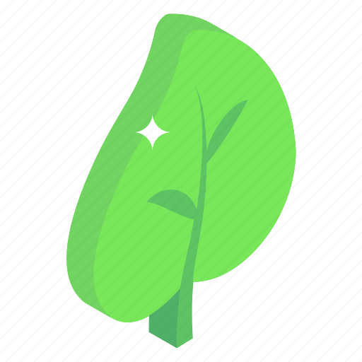 Nature, leaf, greenery, plant, poplar leaf icon - Download on Iconfinder