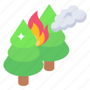 burn trees, forest fire, disaster, flame, wildfire