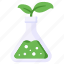conical flask, flask, laboratory, lab research, botany 