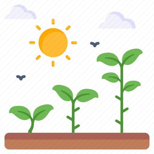 Sunlight, photosynthesis, agriculture, gardening, farm icon - Download on Iconfinder