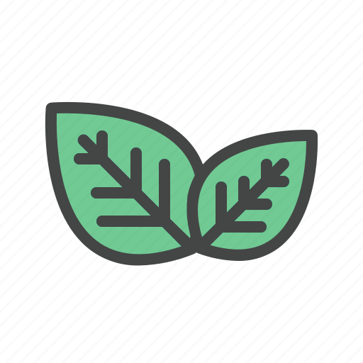 Plant, tree, green, nature, leaf, ecology, forest icon - Download on Iconfinder