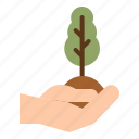 plant, tree, hand, planting, ecology