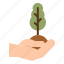 plant, tree, hand, planting, ecology 