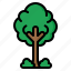tree, ecology, green, environment, eco 