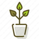 green, plant, pot, sprout