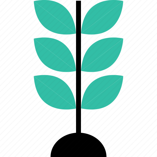 Ecology, environment, growing, leaf, nature, plant icon - Download on Iconfinder
