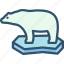 bear, global warming, iceberg, polar 
