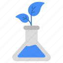 botanical flask, experiment, lab apparatus, lab equipment, flask