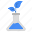 botanical flask, experiment, lab apparatus, lab equipment, flask 