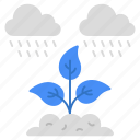 cloud raining, agriculture rainfall, rainy weather, forecast, meteorology