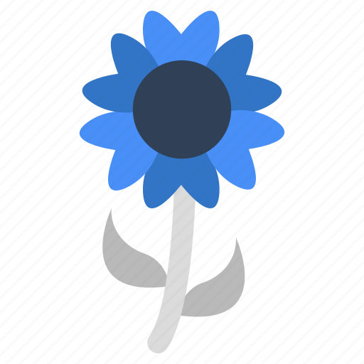 Sunflower, floweret, blossom, botany, nature icon - Download on Iconfinder