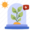 mud plant, sprout, growing plant, farming, agriculture