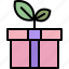 birthday, box, eco, ecology, gift, present 