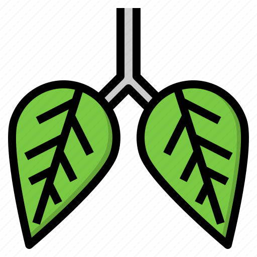 Anatomy, leaf, lung, organ, pulmonology icon - Download on Iconfinder