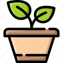 plant pot, leaf, ecology, plant, pot, potted, botany, nature, garden