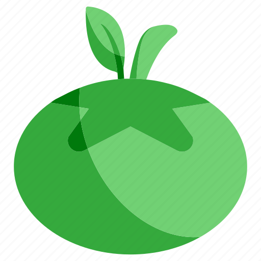 Ecology, environment, food, fruit, green, nature, tomato icon - Download on Iconfinder