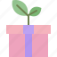 birthday, box, eco, ecology, environment, gift, present 