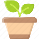 plant pot, leaf, ecology, plant, pot, potted, botany, nature, natural
