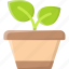 plant pot, leaf, ecology, plant, pot, potted, botany, nature, natural 