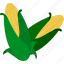corn, ecology, leaf, nature, vegetable, corp, maize 