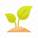 plant, leaf, grow, nature, environment 