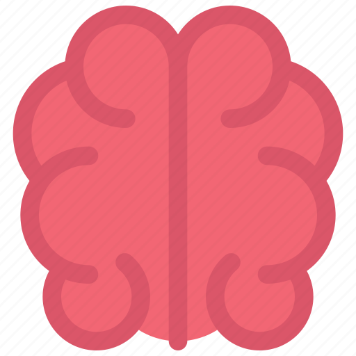 Brain, education, creative, logic, psychology, intelligence, mind icon - Download on Iconfinder