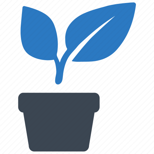Decoration, flower, home, plant icon - Download on Iconfinder