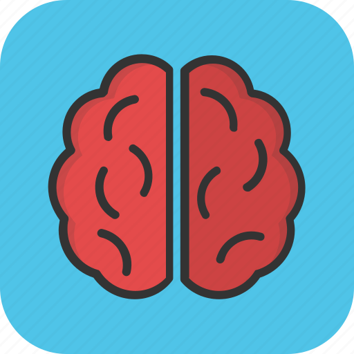 Brain, brainstorming, human brain, intelligence, organ icon - Download on Iconfinder
