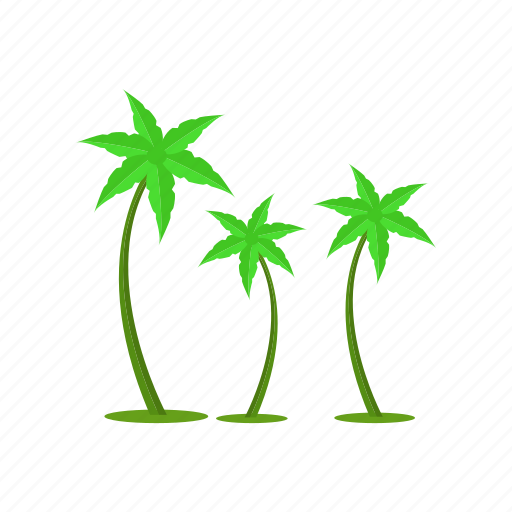 Ecology, floral, flower, nature, palm, plant, tree icon - Download on Iconfinder