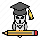 cap, education, hat, knowledge, owl, pen, pensil
