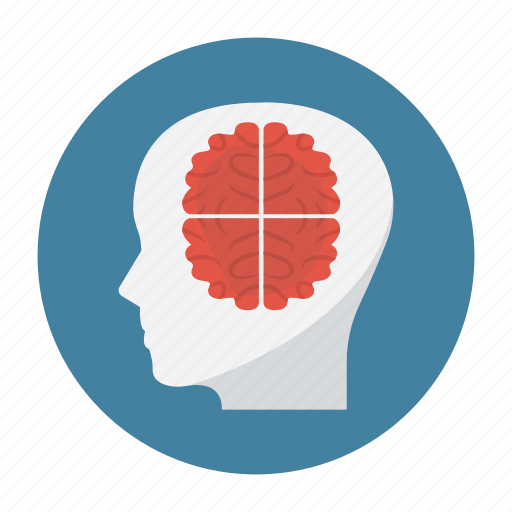 Brain, creative, idea, innovation, mind icon - Download on Iconfinder