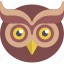 education, owl 