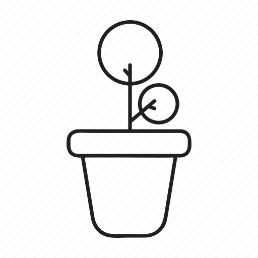 Ecology, education, nature, plant, potted plant, school, study icon - Download on Iconfinder