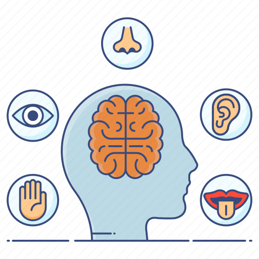 Activities, brain feedback, brain response, five senses, sensation, sensory, sensory activities icon - Download on Iconfinder