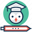 graduate owl, owl education, owl teacher, wisdom, wise owl