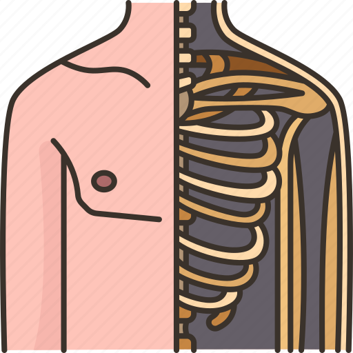 Physiology, anatomy, health, medical, biology icon - Download on Iconfinder