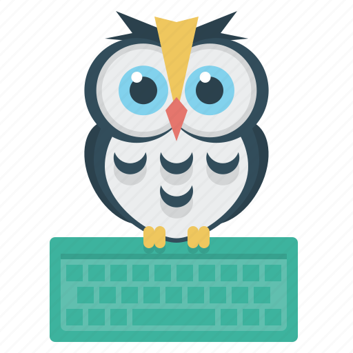 Education, keyboard, owl, e-learning, online icon - Download on Iconfinder