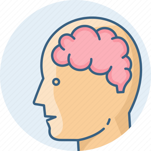 Brain, human, head, mind, think, thought icon - Download on Iconfinder