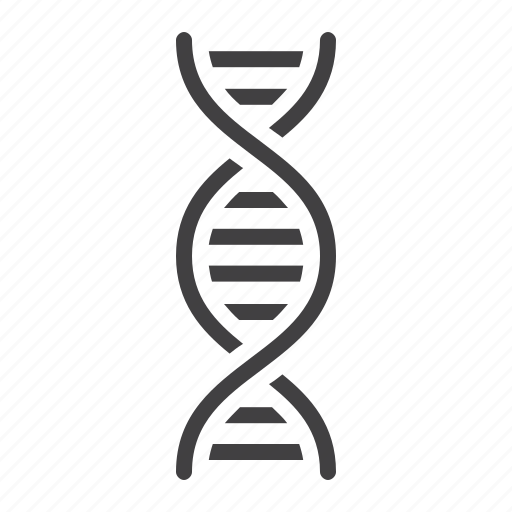 Biology, chromosome, dna, education, genetic, health, science icon - Download on Iconfinder