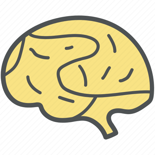 Anatomy, brain, intelligence, invention, mind, strategy, think symbol icon - Download on Iconfinder